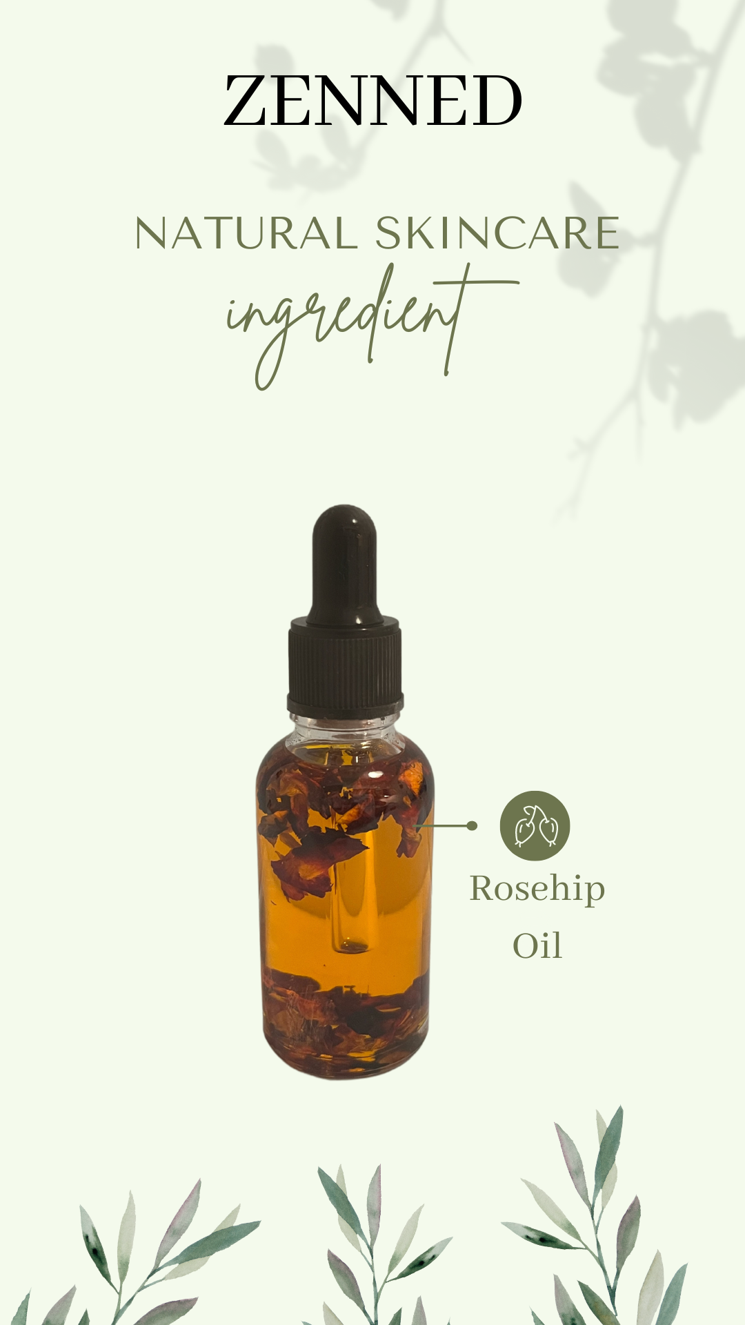 Organic Rosehip seed oil